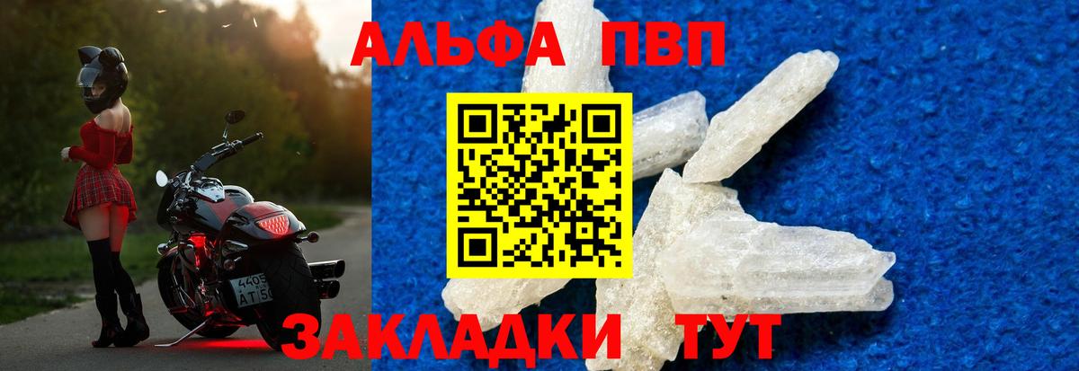 Псилоцибиновые грибы Грозный