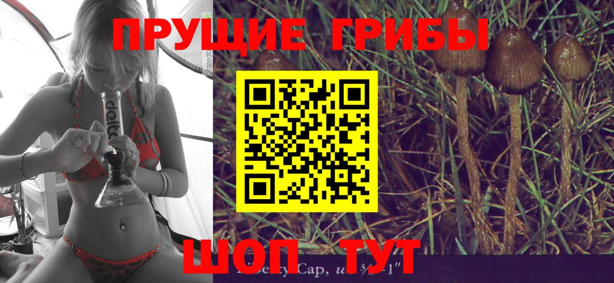 Псилоцибиновые грибы Cubensis  Вход с VPN  Грозный 